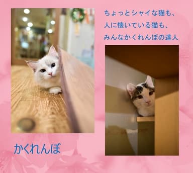 写真集イメージ4