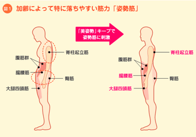 AI姿勢診断_No.2