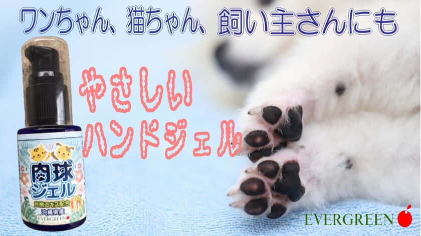 わんちゃん、猫ちゃん、飼い主さんにもやさしい「肉球ジェル」　
8月15日からMakuakeで先行予約を開始