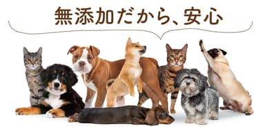 無添加だから、老犬・老猫でも安心