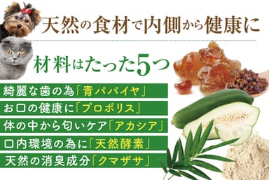 5つの原材料で口臭対策