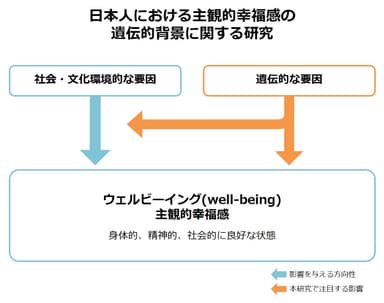 本研究の概要図