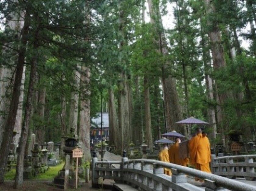 高速バス往復乗車券＋高野山内１日フリー乗車券
＋金剛峯寺拝観券がセットになった
お得な乗車券を発売します。