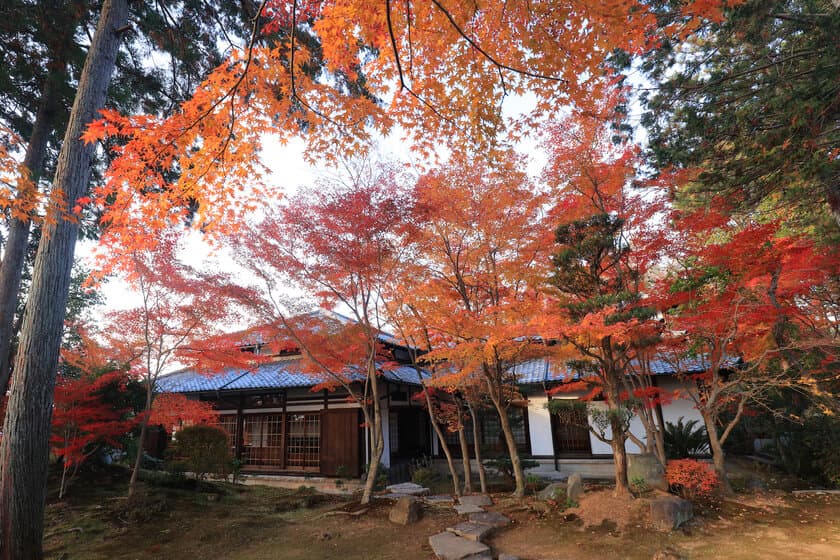 通常非公開・東福寺塔頭「正覚庵」秋の特別拝観を
11月25日(金)～12月11日(日)に開催