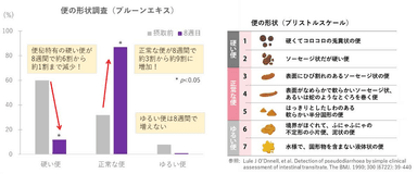 解説図(2)