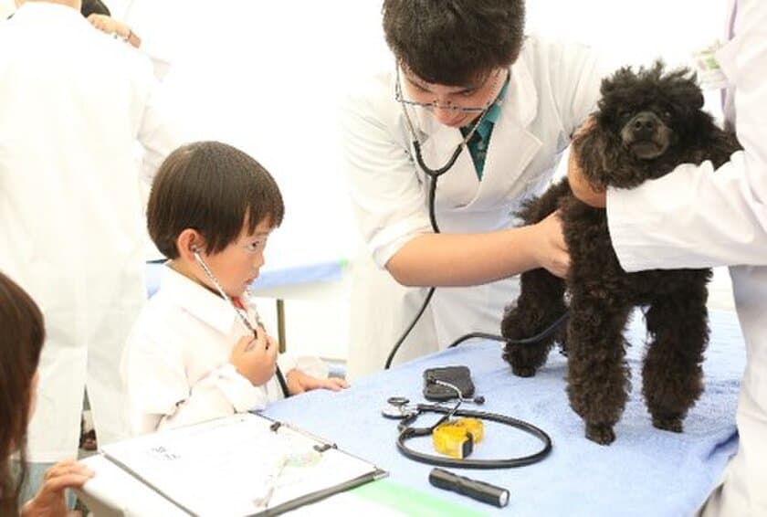 獣医師の仕事について知る！動物とふれあう！動物同伴OKイベント
「2022動物感謝デー in JAPAN “World Veterinary Day”」
10月1日(土)開催