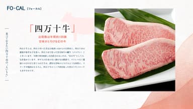 「旅色FO-CAL」高知県四万十市特集 食べておきたい四万十市の“えいもん”