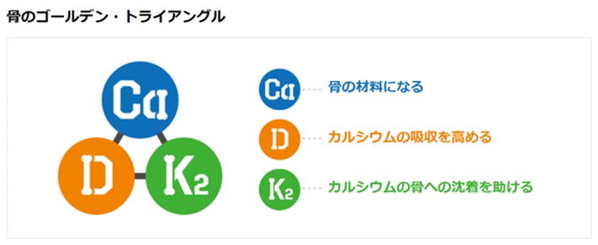 ～10月は骨の健康月間！～　
日本人の食事摂取基準の見直しと
ビタミンK2の新たな効能に関するコラムを公開