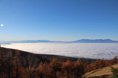 高峰高原 雲海