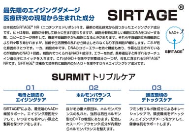 SURMIT4