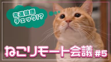 ねこリモート会議#5「先進健康測定機器って、はんぱにゃ～い！」篇