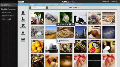 GOGGII View画面