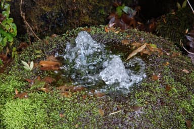 大垣の地下天然水