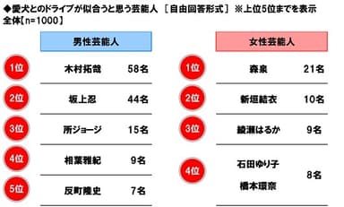 愛犬とのドライブが似合うと思う芸能人