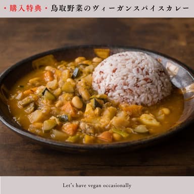 鳥取野菜ヴィーガンスパイシーカレー