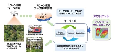 実証実験の取り組み概要