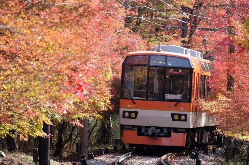 11月5日（土）～27日（日）に「秋ダイヤ」を実施します