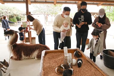 トリアスふれあい動物園の様子(2)