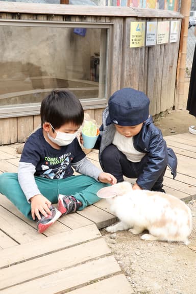 トリアスふれあい動物園の様子(3)