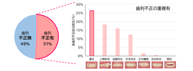 図1　各歯列不正者の割合