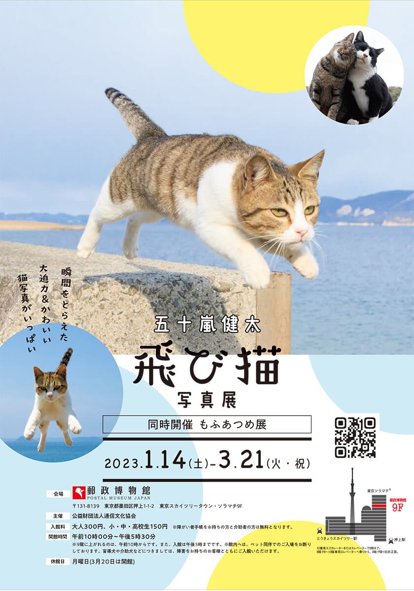 五十嵐 健太「飛び猫写真展」を2023年1月14日から
郵政博物館で開催