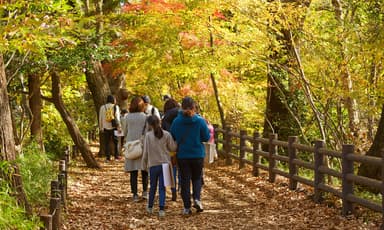 玉川上水緑道を管理するNPO birthによるネイチャーウォーク