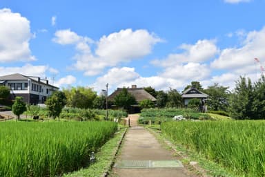 足立区立都市農業公園