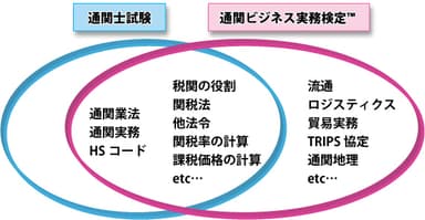 通ビジと通関士試験との違い