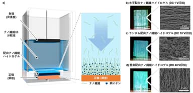 図2 a)本研究で構造制御に使用した装置及び正極上に堆積するナノ繊維のイメージ図。b)水平配向、c)ランダム配向、d)垂直配向状態で正極上に固定されたナノ繊維ハイドロゲルの外観および断面図。