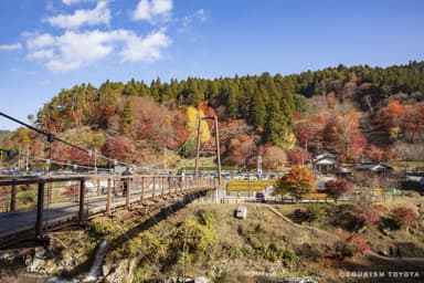 大井平公園1(風のつり橋)