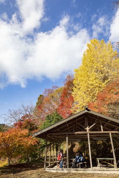 大井平公園3(憩い場)