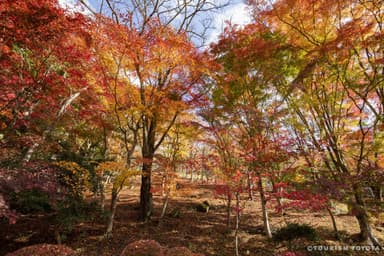 大井平公園4