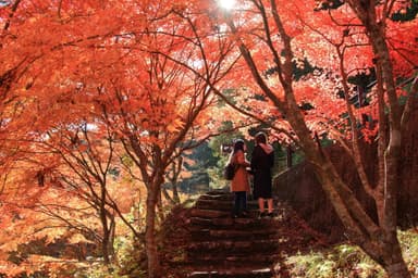 大井平公園6(名倉川遊歩道)