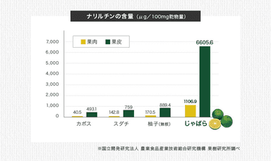 北山村じゃばらのナリルチン量