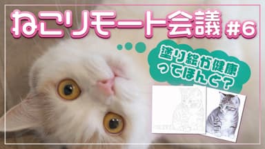 ねこリモート会議＃6「大人の塗り絵コンクール」篇