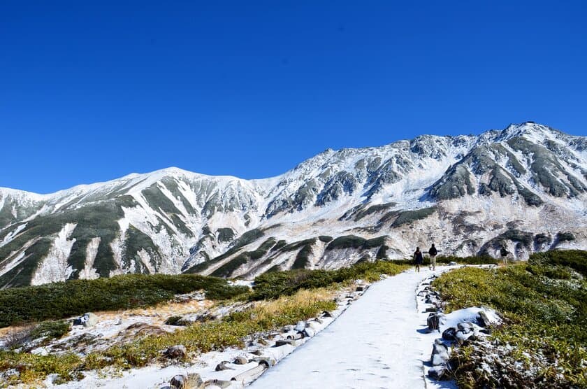 立山黒部アルペンルート、
全国旅行支援「深秋キャンペーン」の予約受付を11月2日に開始