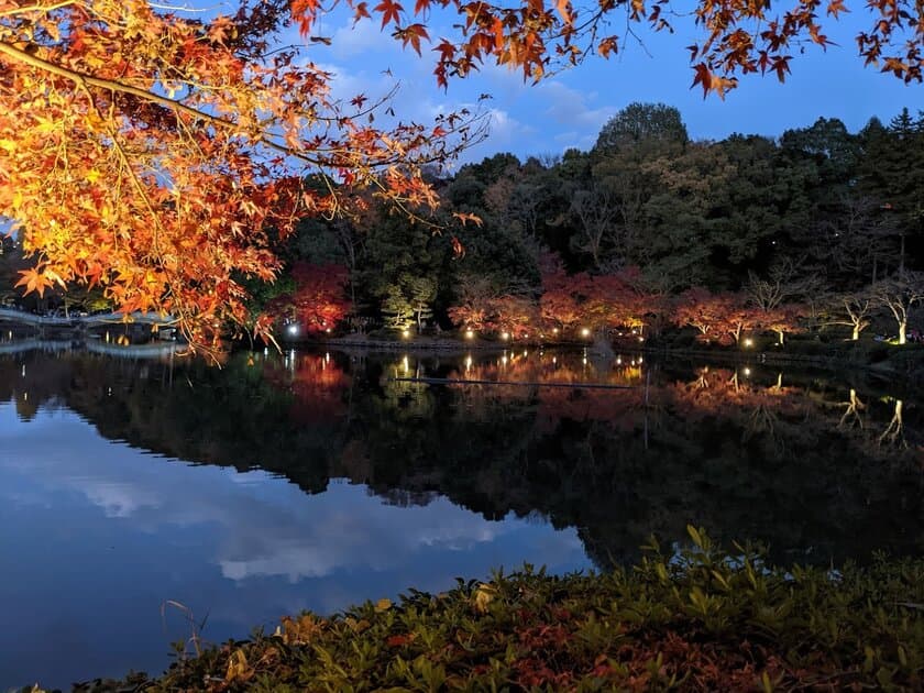 東京・町田市で「来て・見て・味わう」秋のイベント開催　
紅葉ライトアップやフェス・マルシェも出展