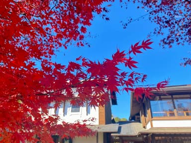 小野路宿里山交流館　紅葉祭り