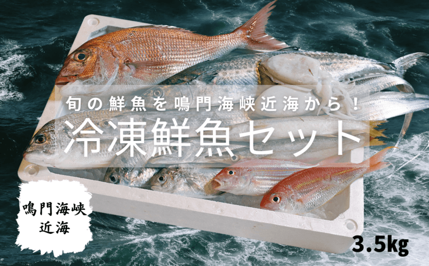 鳴門市のふるさと納税返礼品に
鳴門海峡近海で獲れた「冷凍鮮魚セット3.5kg」が
数量限定で11月9日から新登場！