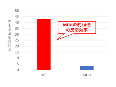 図２