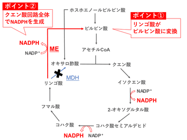 図５