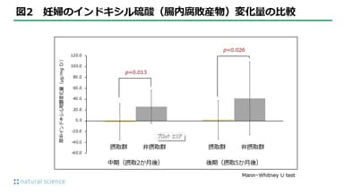 図2_妊婦のインドキシル硫酸（腸内腐敗産物）変化量の比較