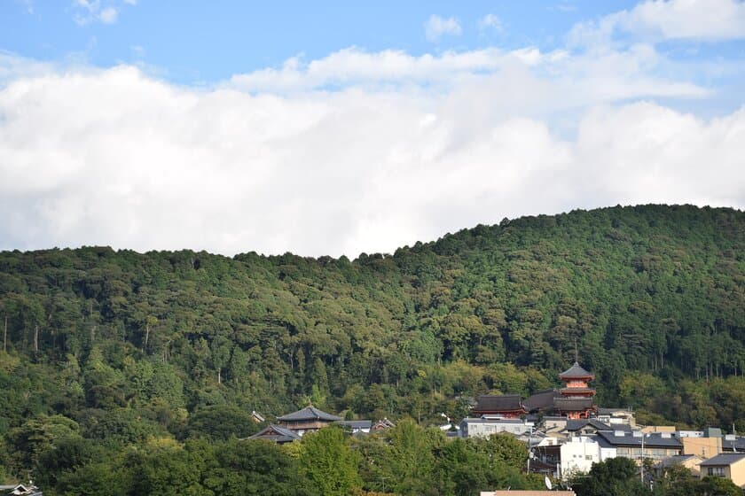 荒廃が進む京都三山の「東山」を、文化育む「共生の森」へ
　クラウドファンディング開始