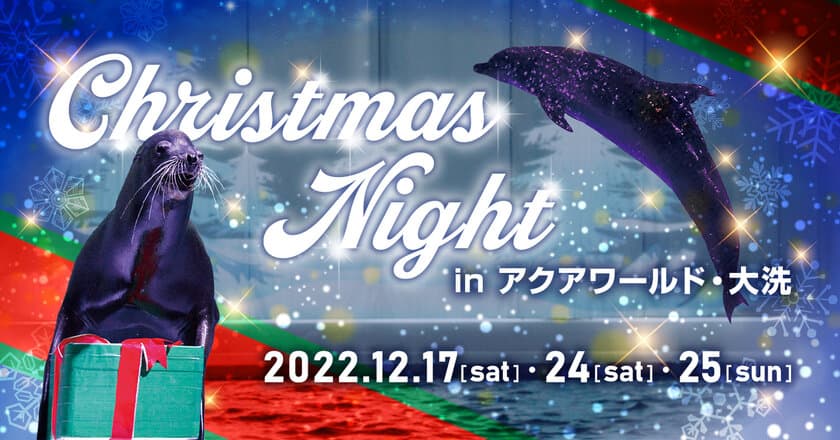 三夜限定！夜の水族館で生き物たちとクリスマスを楽しむ
「クリスマスナイト in アクアワールド・大洗」を
12/17,24,25開催！