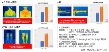 サーモグラフィ試験結果