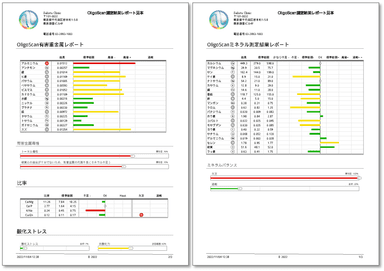 『OligoScan(オリゴスキャン)：体内ミネラル有害金属測定解析システム』測定結果レポート見本