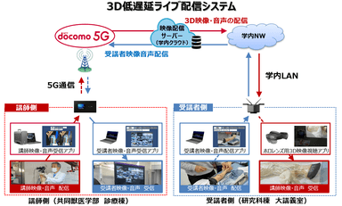 ３D低遅延ライブ配信システム