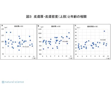 図３_皮膚厚・皮膚密度（上肢）と年齢の相関