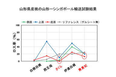 山形県産桃の山形ーシンガポール輸送試験結果