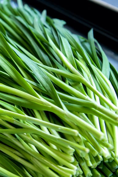 ニラは最近注目の野菜